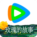 女主角穿越成了女王妃